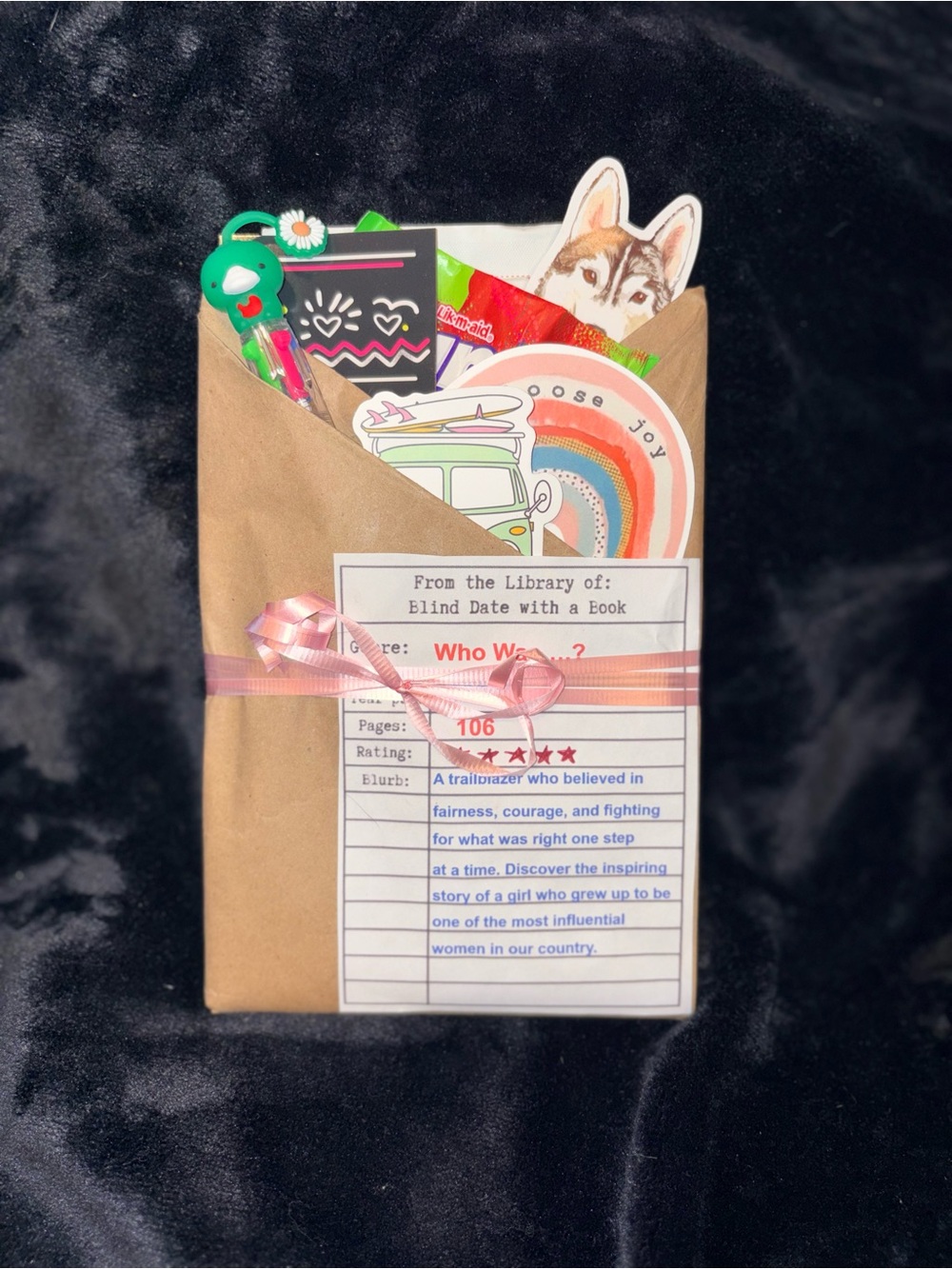 Blind Bag Mystery Book - Teacher Curated. Who Was series.